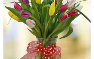 Steve's Flowers Offers Thoughtful Memorial Day Flowers and Plants SAME-DAY FLOWER DELIVERY IN BARGERSVILLE, IN