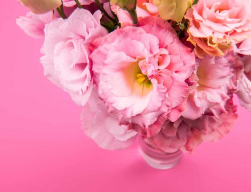 Honor “National Breast Cancer Awareness Month” with flowers from Steve’s Flowers and Gifts