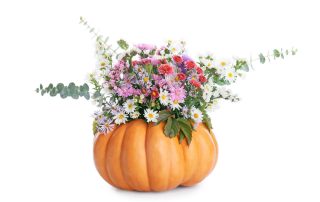 Halloween Flowers