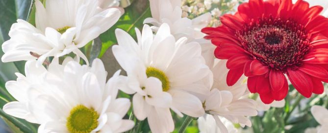 Thanksgiving Flowers