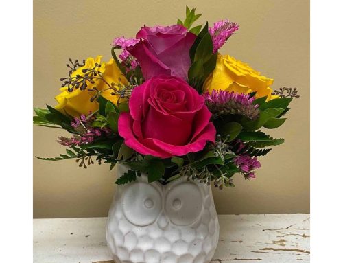 Celebrate Love and Sentiments with March Anniversary Flowers and Plants