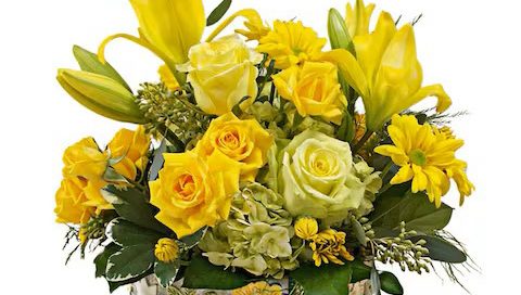 Steve's Flowers Mother's Day Flowers & Gifts Nationwide Same Day Flower Delivery Service