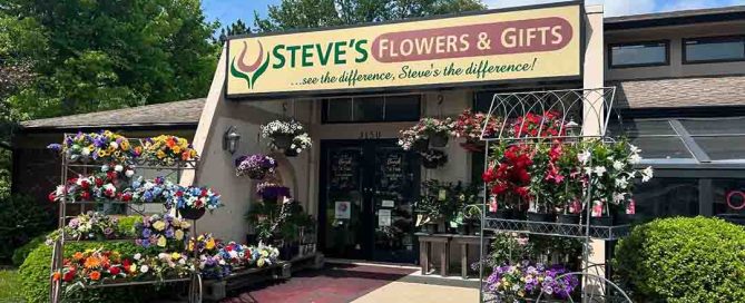 Steve's Flowers Offers Beautiful Graduation Flowers and Plants Graduation Flowers, Thank You Flowers, Celebration Bouquets