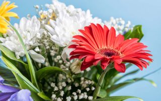 Steve's Flowers Congratulations Floral Gifts SAME-DAY FLOWER DELIVERY IN FISHERS, IN