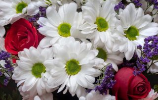 Steve's Flowers Independence Day Celebration Flowers Same Day Delivery