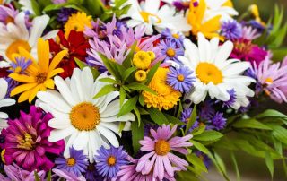 Steve's Flowers and Gifts Offers Thoughtful Labor Day Flowers and Plants Same-Day Flower Delivery in FORTVILLE, IN