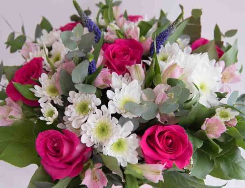 Steve’s Flowers and Gifts is Honored to Offer Bargersville Indiana Flower Delivery