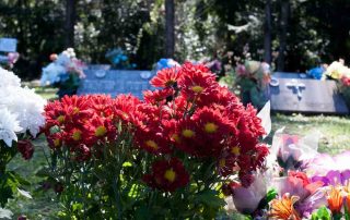 Grave site holiday flowers