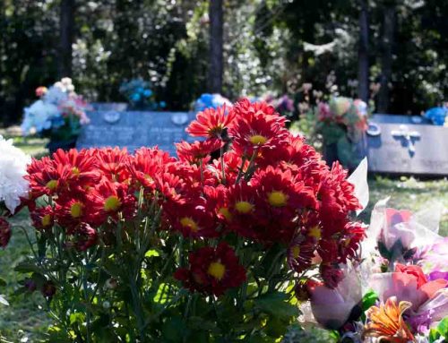 Steve’s Flowers Offers Delivery of Festive Holiday Flowers to Forest Lawn Funeral Home