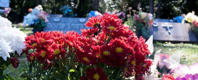 Grave site holiday flowers