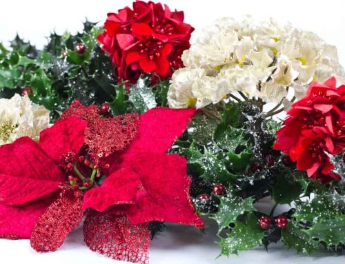 Catalyst Church Pendleton Festive Holiday Flowers and Floral Decor by Steve’s Flowers