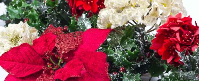 Steve's Flowers Offers Festive Holiday Flowers