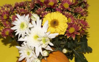 Steve's Flowers and Gifts is a trusted local florist that Provides Avon Indiana Flower Delivery