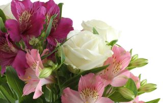 Flanner Buchanan Funeral Homes Flower Delivery is provided by Steve's Flowers and Gifts