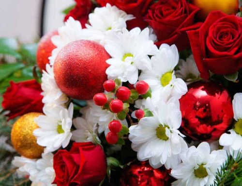 Beech Grove Flower Delivery for Christmas and Hanukah is Offered at Steve’s Flowers and Gifts