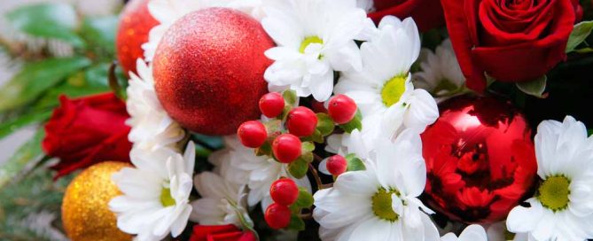 Steve's Flowers and Gifts offers Christmas Flowers