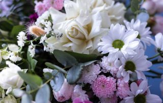 Steve's Flowers offers a Winter Flower Collection