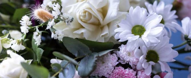 Steve's Flowers offers a Winter Flower Collection