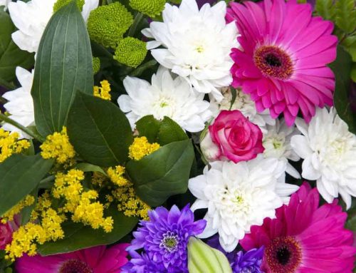 Express Your Condolences with Sympathy Flowers