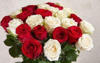 beautiful bouquet of red roses for Valentine's Day