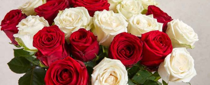 beautiful bouquet of red roses for Valentine's Day