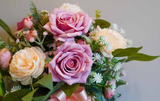 front view pinks and yellow rose flowers and green leaf on white background, nature,