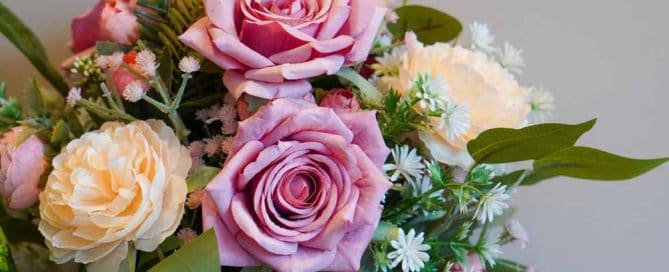 front view pinks and yellow rose flowers and green leaf on white background, nature,